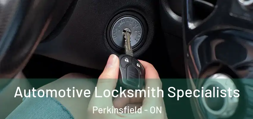  Automotive Locksmith Specialists Perkinsfield - ON