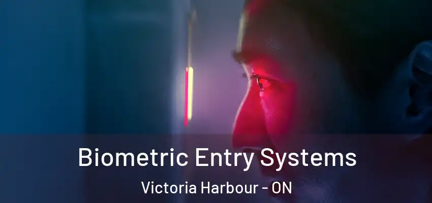 Biometric Entry Systems Victoria Harbour - ON