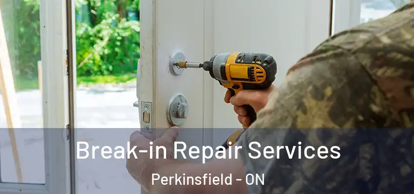  Break-in Repair Services Perkinsfield - ON