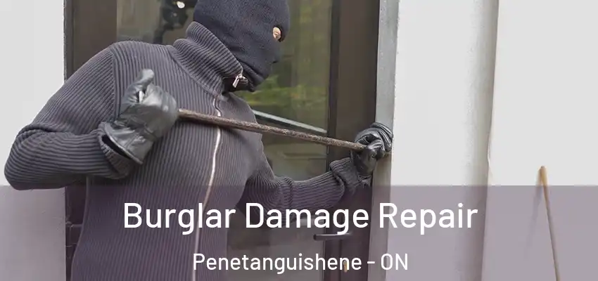  Burglar Damage Repair Penetanguishene - ON