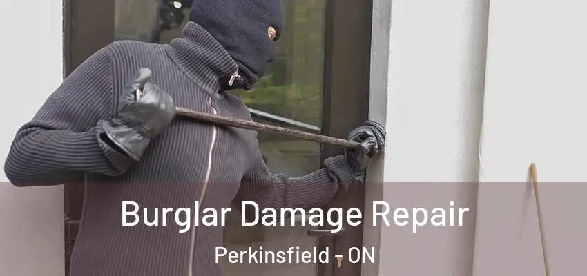  Burglar Damage Repair Perkinsfield - ON