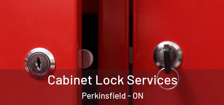  Cabinet Lock Services Perkinsfield - ON