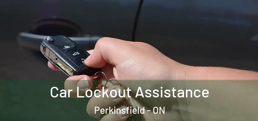  Car Lockout Assistance Perkinsfield - ON