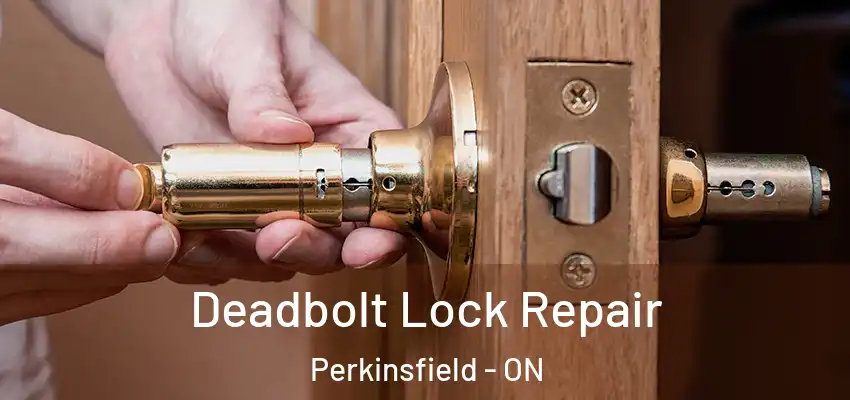  Deadbolt Lock Repair Perkinsfield - ON