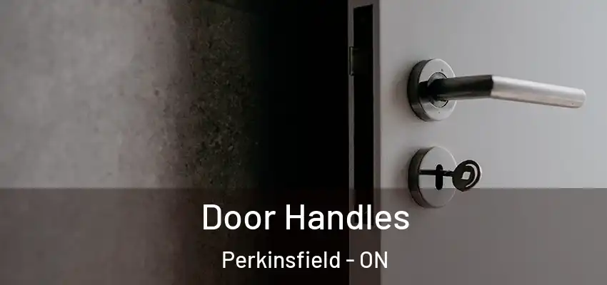  Door Handles Perkinsfield - ON