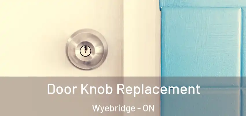  Door Knob Replacement Wyebridge - ON