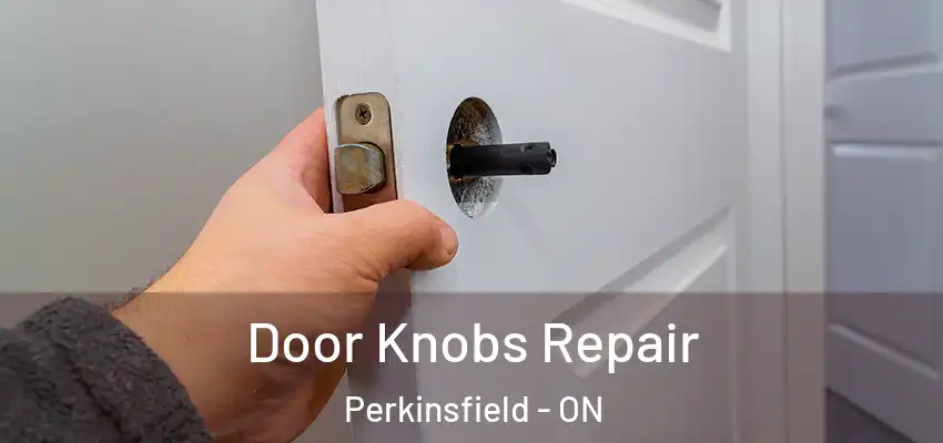  Door Knobs Repair Perkinsfield - ON