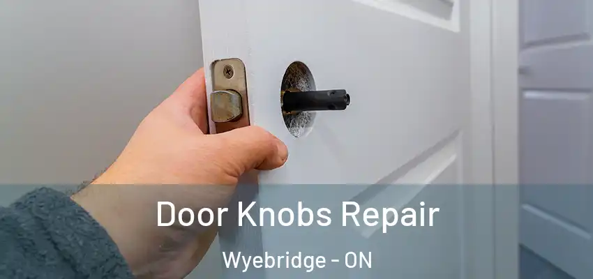  Door Knobs Repair Wyebridge - ON
