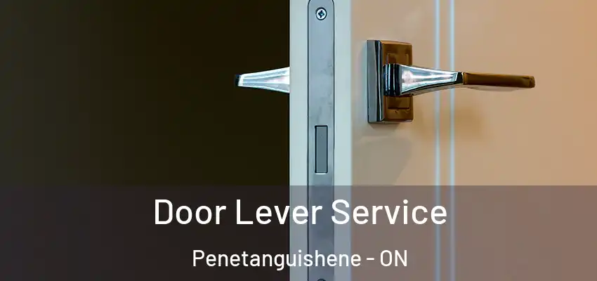  Door Lever Service Penetanguishene - ON
