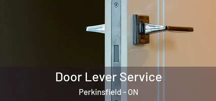  Door Lever Service Perkinsfield - ON