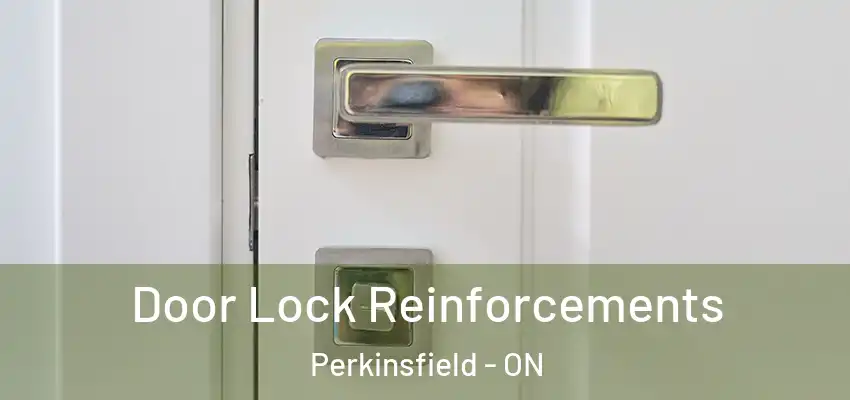  Door Lock Reinforcements Perkinsfield - ON