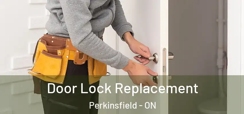  Door Lock Replacement Perkinsfield - ON