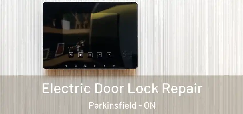  Electric Door Lock Repair Perkinsfield - ON