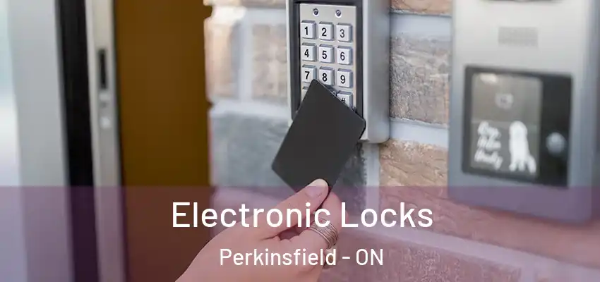  Electronic Locks Perkinsfield - ON