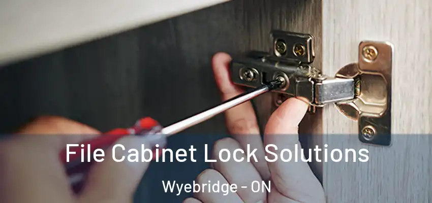  File Cabinet Lock Solutions Wyebridge - ON