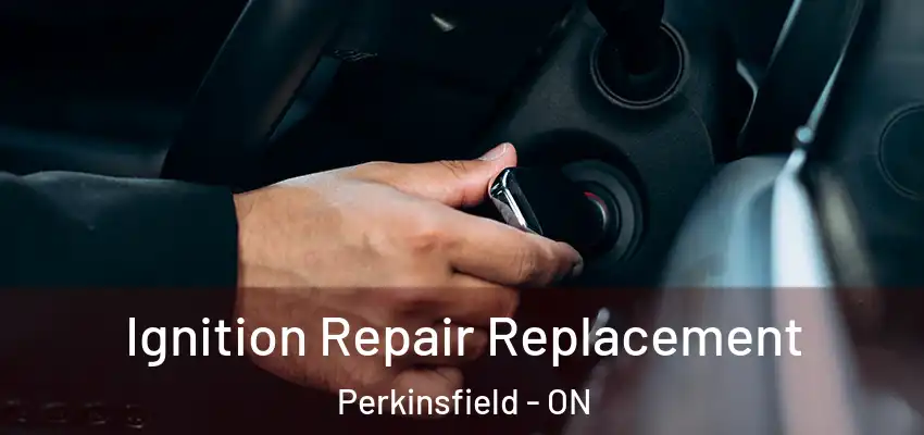  Ignition Repair Replacement Perkinsfield - ON