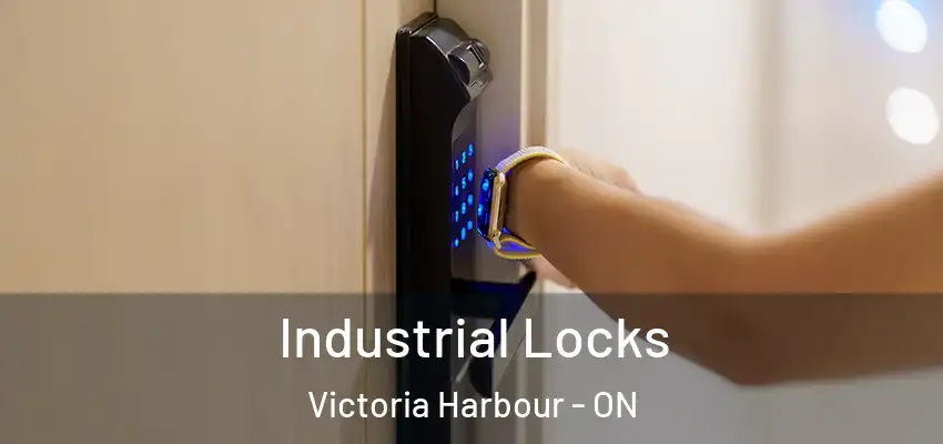  Industrial Locks Victoria Harbour - ON