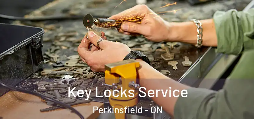  Key Locks Service Perkinsfield - ON