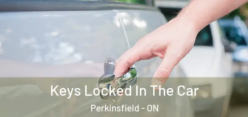  Keys Locked In The Car Perkinsfield - ON