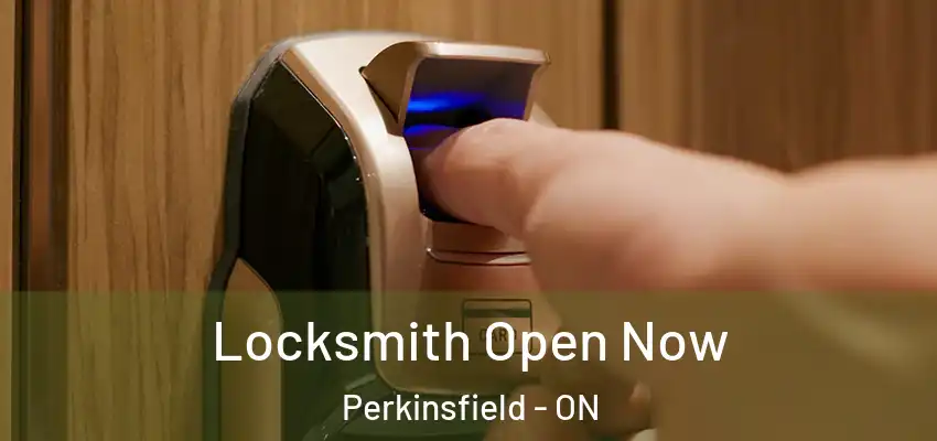  Locksmith Open Now Perkinsfield - ON