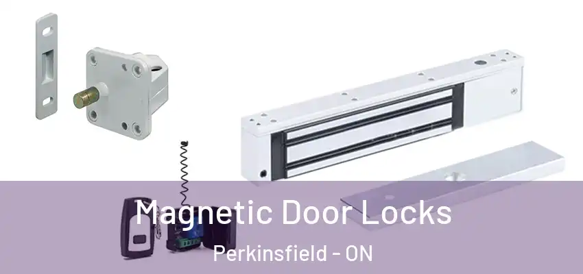  Magnetic Door Locks Perkinsfield - ON