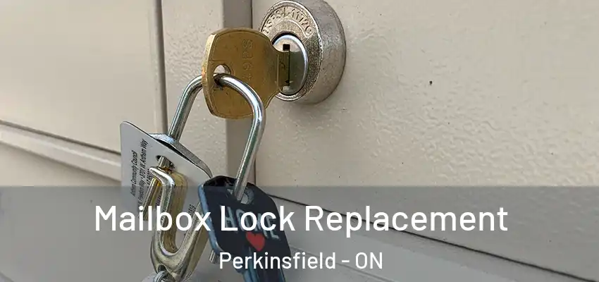  Mailbox Lock Replacement Perkinsfield - ON