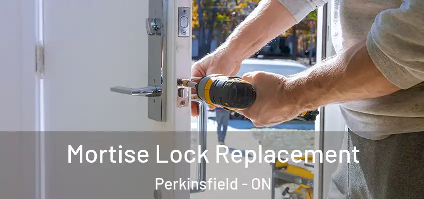  Mortise Lock Replacement Perkinsfield - ON