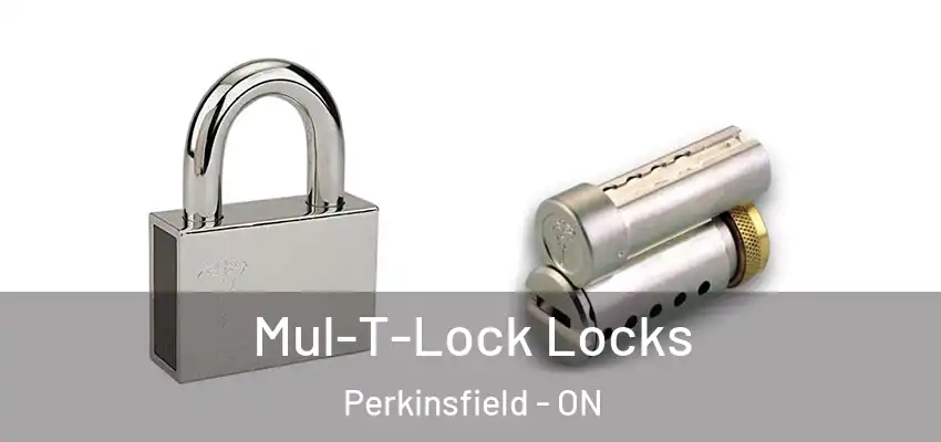  Mul-T-Lock Locks Perkinsfield - ON