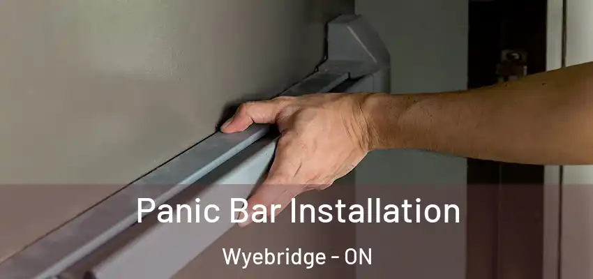  Panic Bar Installation Wyebridge - ON