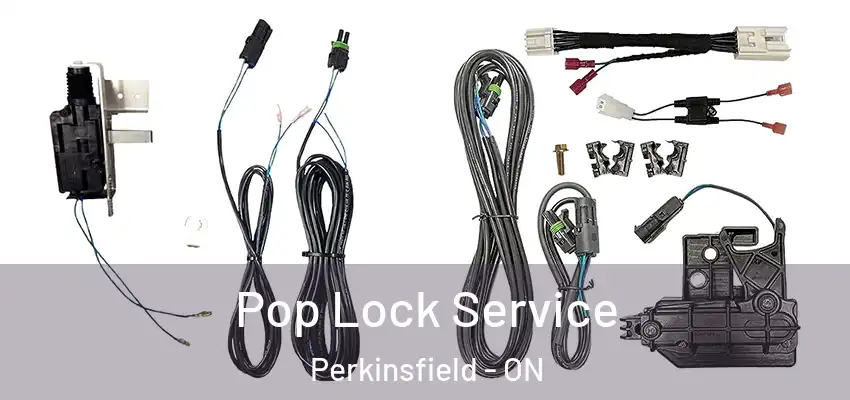  Pop Lock Service Perkinsfield - ON