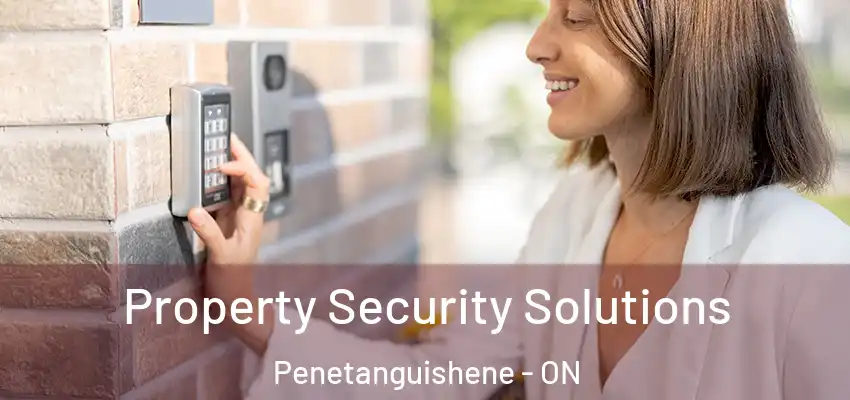 Property Security Solutions Penetanguishene - ON