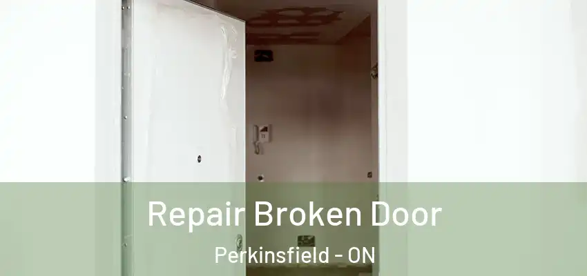  Repair Broken Door Perkinsfield - ON