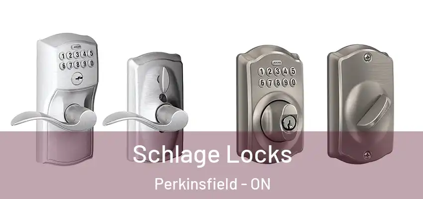  Schlage Locks Perkinsfield - ON
