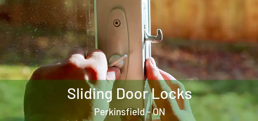  Sliding Door Locks Perkinsfield - ON