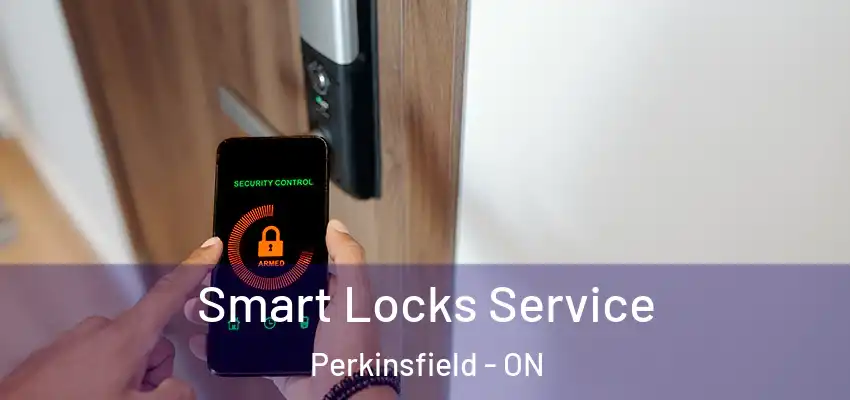  Smart Locks Service Perkinsfield - ON