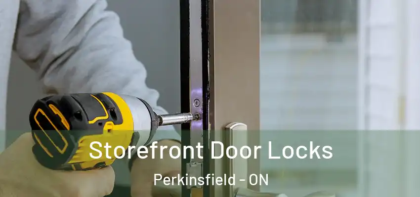  Storefront Door Locks Perkinsfield - ON
