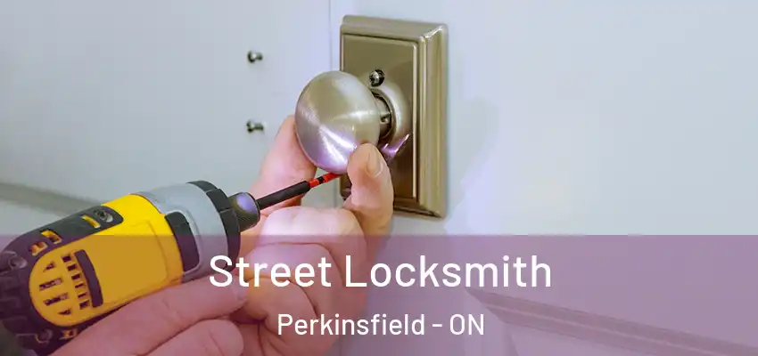  Street Locksmith Perkinsfield - ON